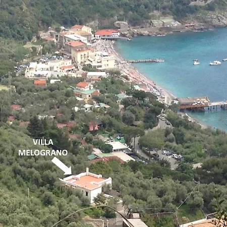 Lejlighed Villa Il Melograno
